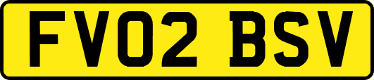 FV02BSV