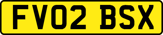 FV02BSX