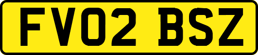 FV02BSZ