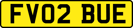 FV02BUE