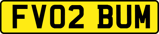 FV02BUM