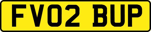 FV02BUP