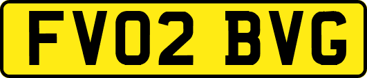 FV02BVG