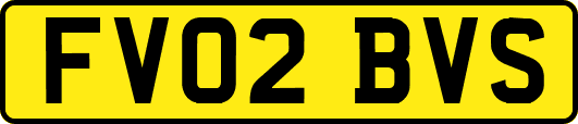 FV02BVS