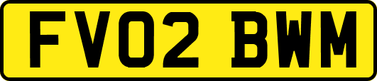 FV02BWM