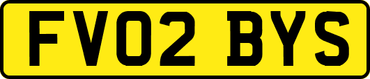 FV02BYS