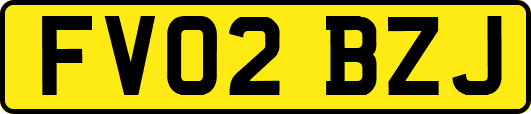 FV02BZJ