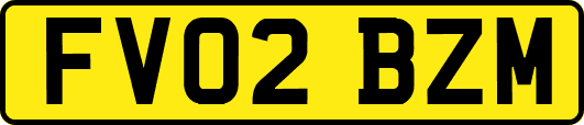 FV02BZM