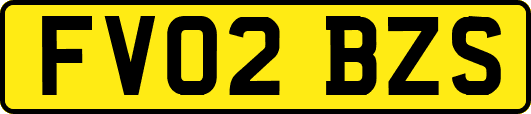 FV02BZS