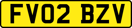 FV02BZV