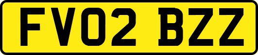 FV02BZZ