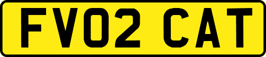 FV02CAT