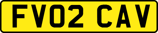 FV02CAV