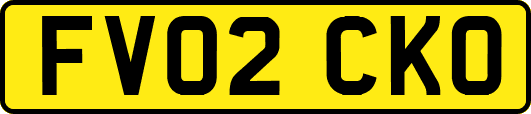 FV02CKO