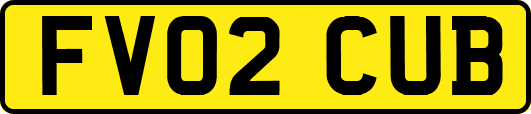 FV02CUB