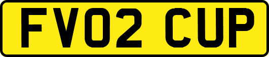 FV02CUP