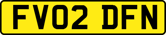 FV02DFN