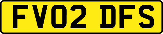 FV02DFS