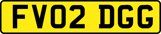 FV02DGG