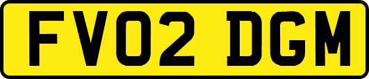 FV02DGM