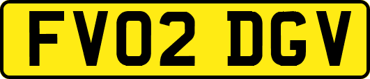 FV02DGV