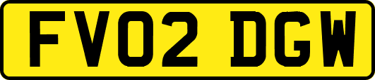 FV02DGW