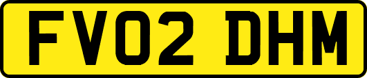 FV02DHM
