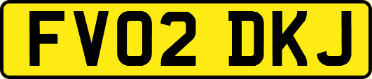 FV02DKJ