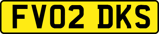 FV02DKS