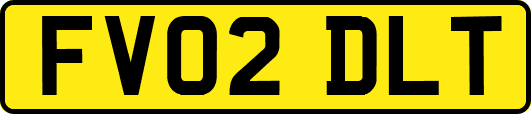 FV02DLT