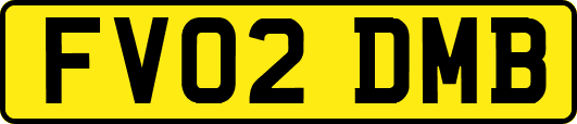 FV02DMB