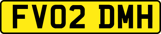 FV02DMH