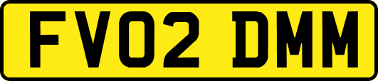 FV02DMM