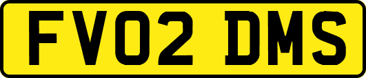 FV02DMS