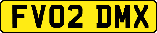 FV02DMX