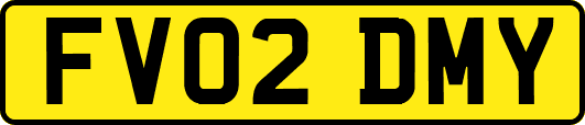 FV02DMY
