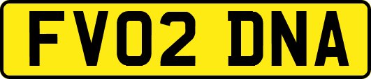 FV02DNA