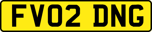 FV02DNG