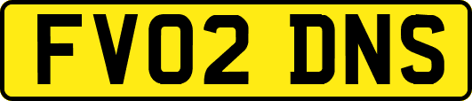FV02DNS
