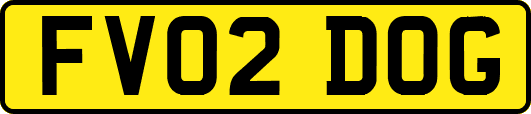 FV02DOG