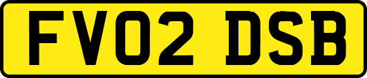FV02DSB