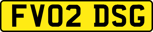 FV02DSG