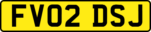 FV02DSJ
