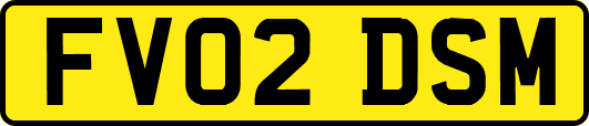 FV02DSM