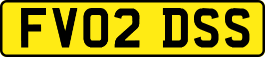 FV02DSS