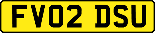 FV02DSU
