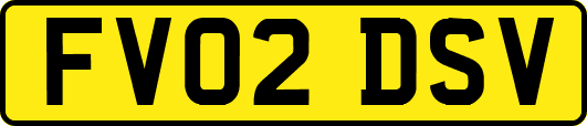 FV02DSV