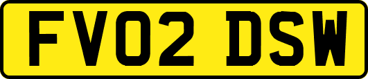 FV02DSW