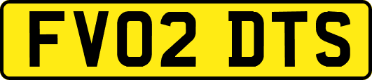 FV02DTS