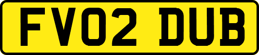 FV02DUB